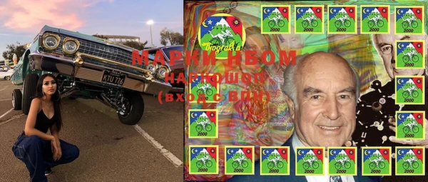 PSILOCYBIN Арсеньев
