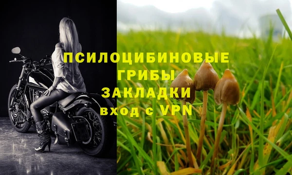 прущие крисы Аркадак