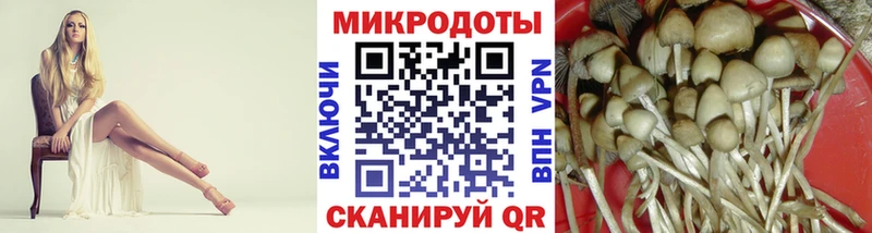 shop Telegram  Арск  Псилоцибиновые грибы Cubensis 
